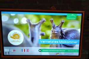 Auf grossen Bildschirmen, mehrsprachige Informationen für die Besucher:innen