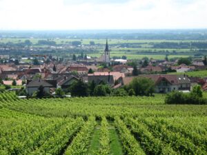 Maikammer - Blick-Maikammer2