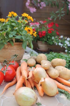 Maikammer - IMG_2719_Gareis