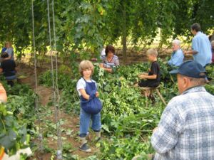 Spalt - Hopfenzupferfest 2005