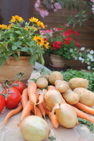 Maikammer - IMG_2719_Gareis