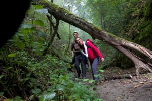 Ueberlingen - Wandern