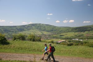 Bischofsheim - Wandern-Bauersberg