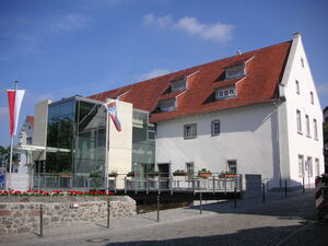 Zwingenberg - Löwe08