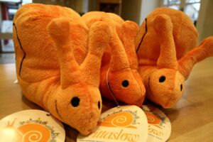 Deidesheim - 067 cittaslow-Schnecke