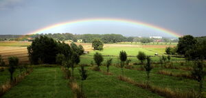 Lüdinghausen - Landschaft-(c)teamfoto_com
