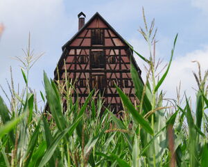 Spalt - Mühlreisighaus